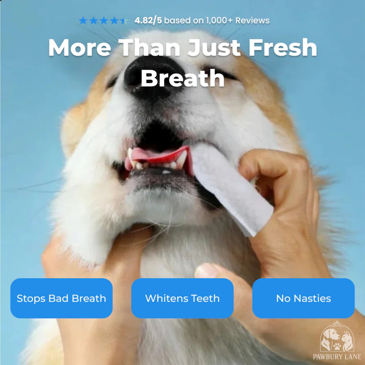 FreshPaws™ | Disposable Dental Finger Wipes For Pets